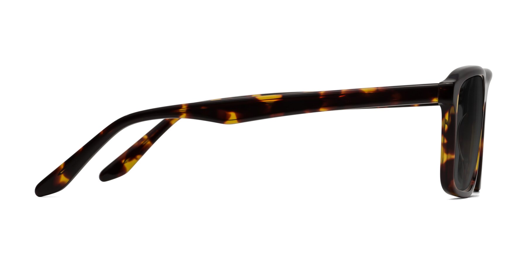 Side of Tornado in Tortoise with Gray Tinted Lenses