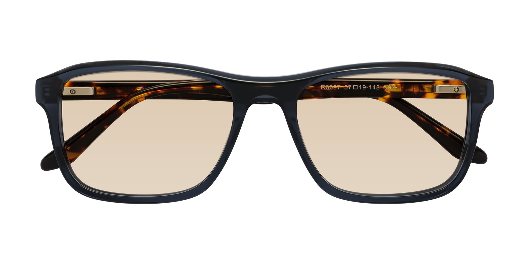 Folded Front of Tornado in Grayish Blue-Tortoise with Light Brown Tinted Lenses