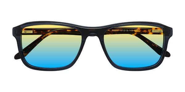 Front of Tornado in Grayish Blue/Tortoise