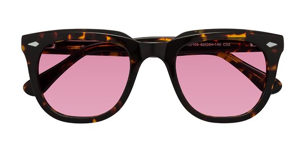 Front of System in Tortoise