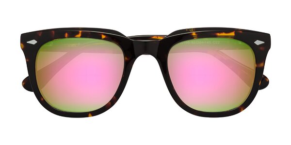 Front of System in Tortoise