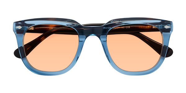 Front of System in Light Blue / Tortoise
