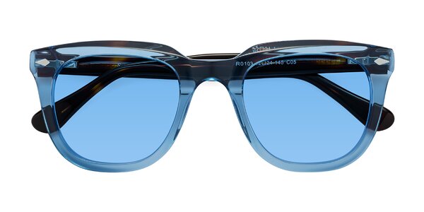 Front of System in Light Blue / Tortoise
