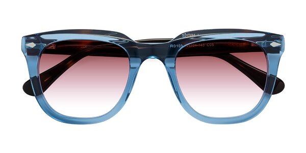 Front of System in Light Blue/Tortoise