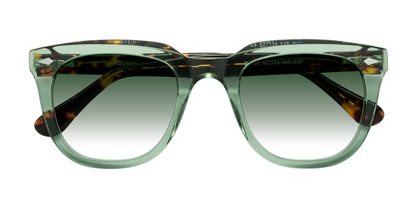 Front of System in Light Green / Tortoise