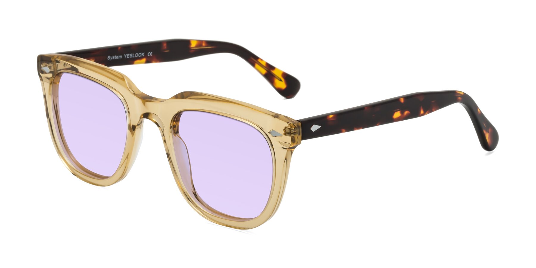 Angle of System in Champagne/Tortoise with Light Purple Tinted Lenses