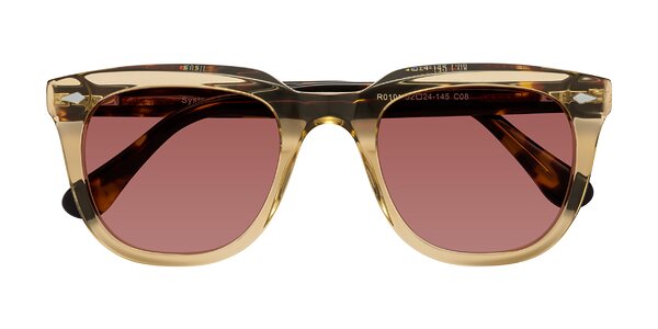 Front of System in Champagne / Tortoise
