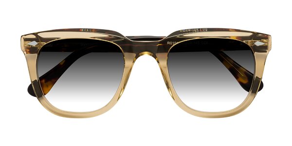 Front of System in Champagne/Tortoise