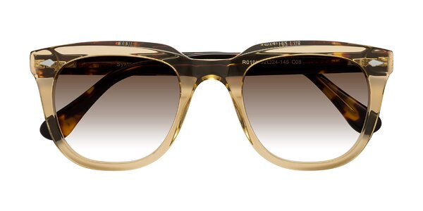 Front of System in Champagne / Tortoise