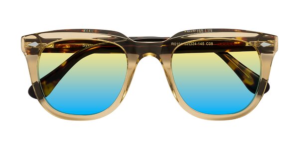 Front of System in Champagne / Tortoise