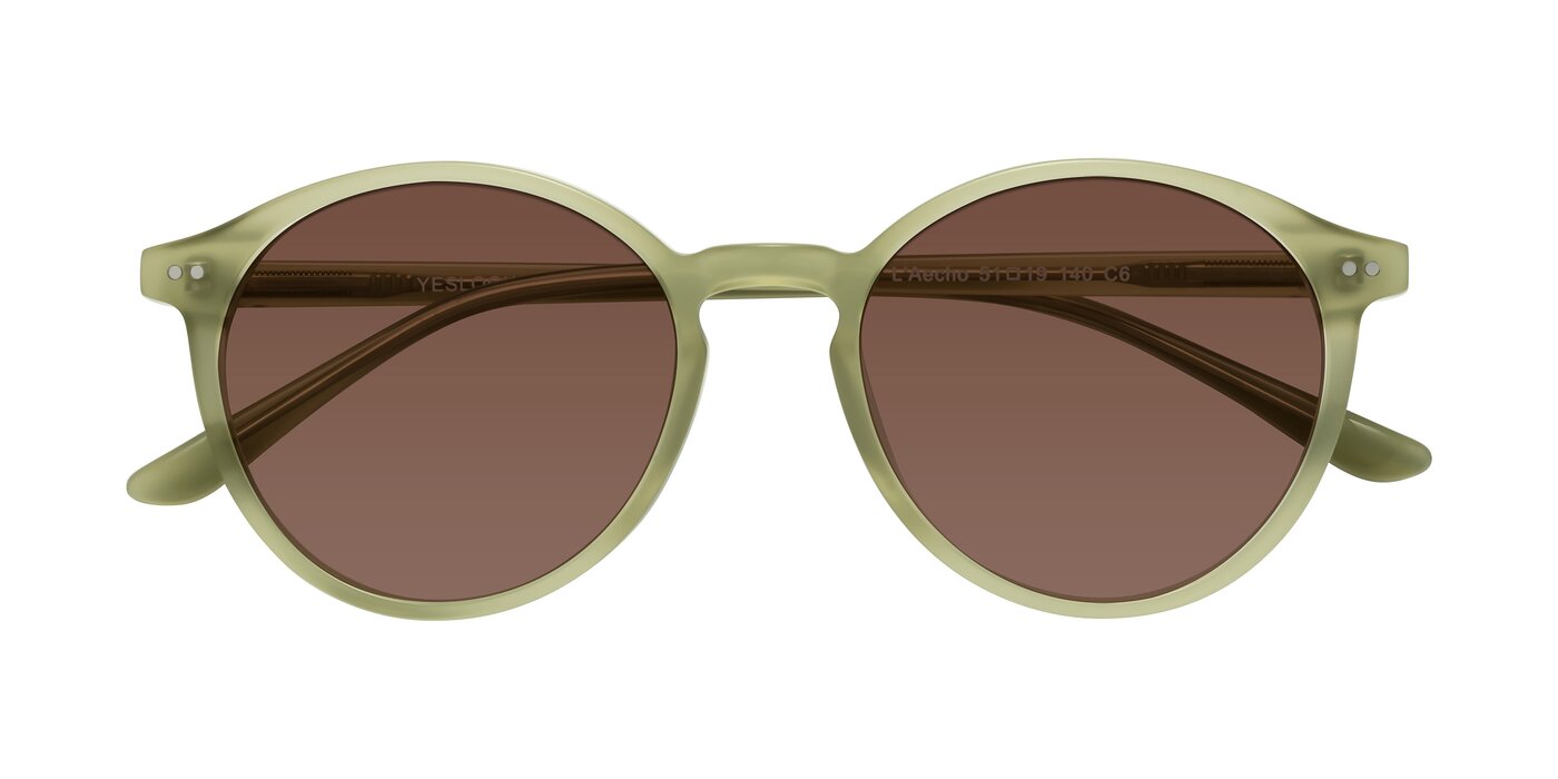 L'Aecho - Olive Tinted Sunglasses