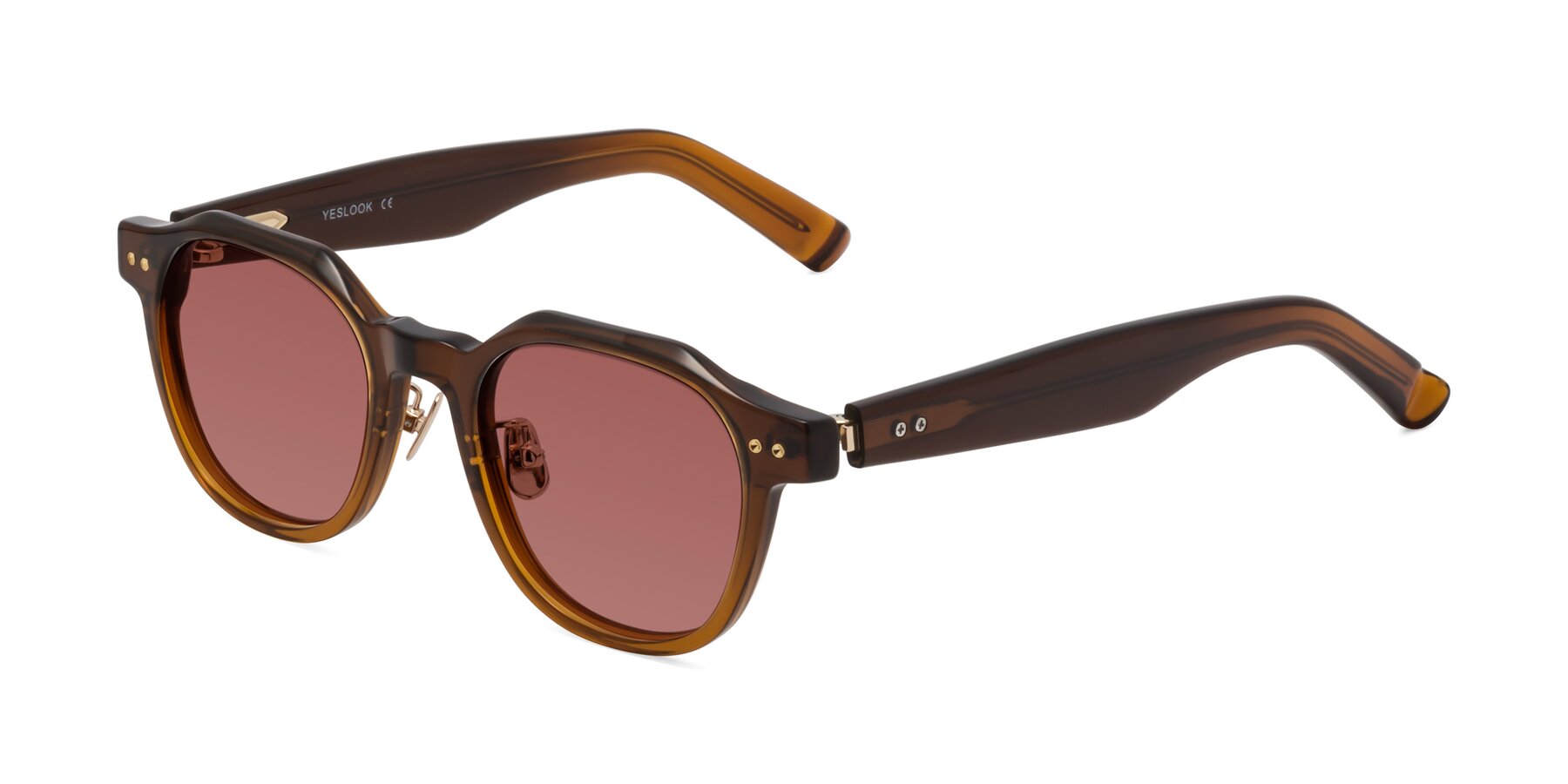 Angle of Costner in Gradient Brown with Garnet Tinted Lenses
