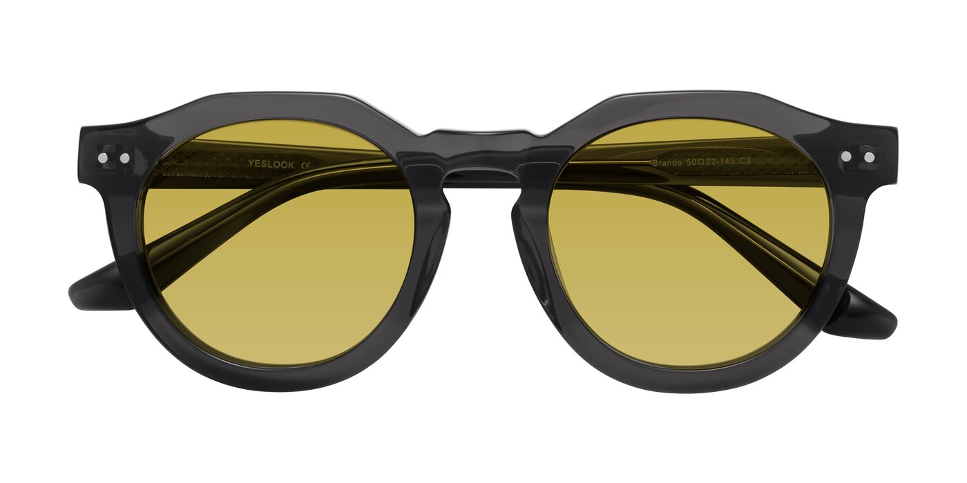 Brando - Dark Gray Tinted Sunglasses