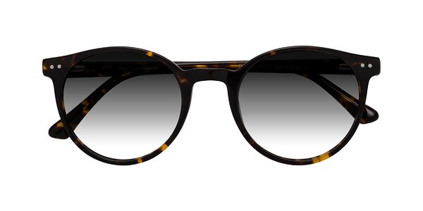 Front of Perfect in Tortoise