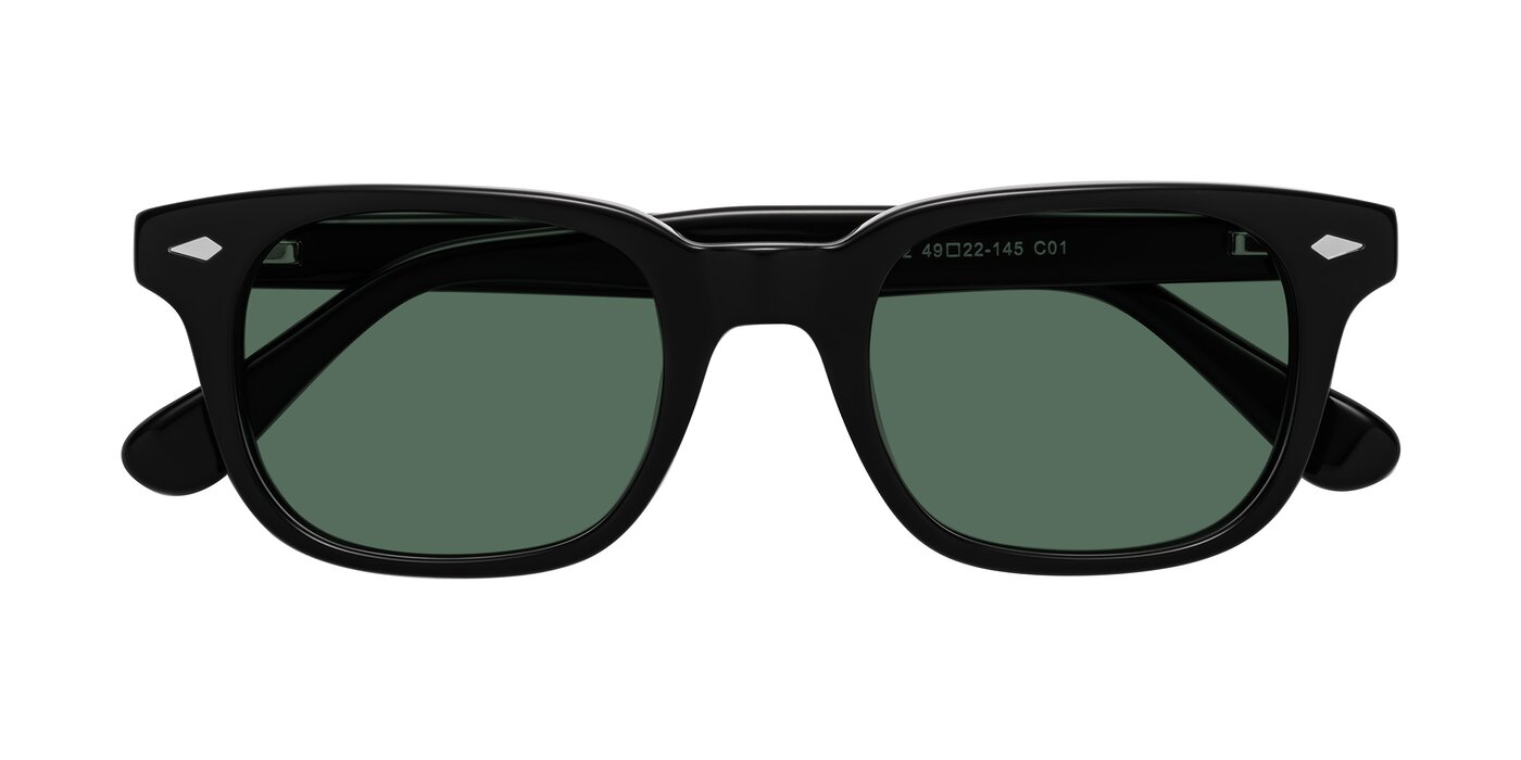 Raemo - Black Polarized Sunglasses
