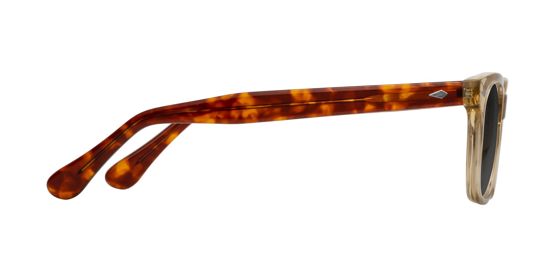 Side of Raemo in Champagne/Tortoise with Gray Tinted Lenses