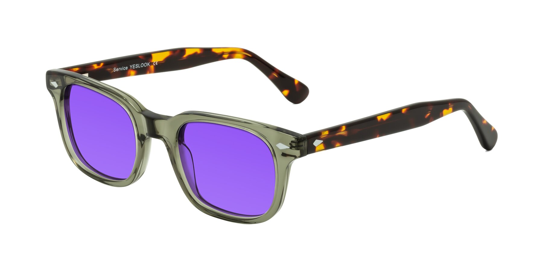 Angle of Raemo in Grayish Green/Tortoise with Purple Tinted Lenses