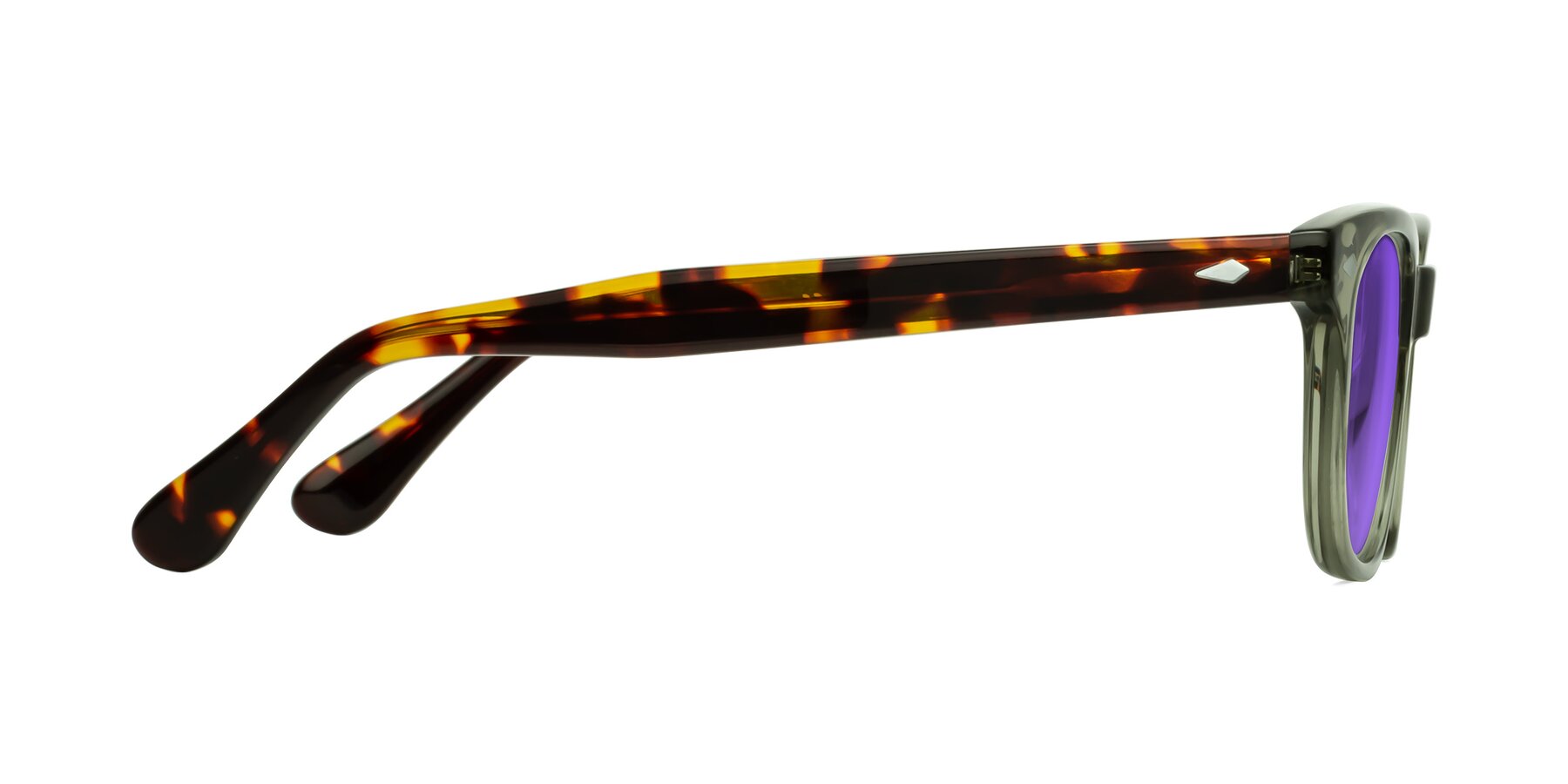 Side of Raemo in Grayish Green/Tortoise with Purple Tinted Lenses
