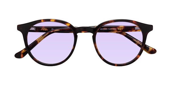Front of Party in Tortoise