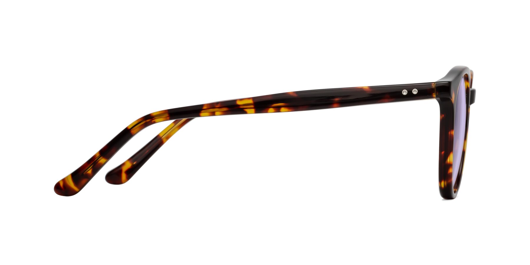 Side of Party in Tortoise with Light Purple Tinted Lenses