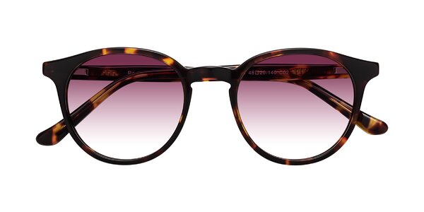 Front of Party in Tortoise