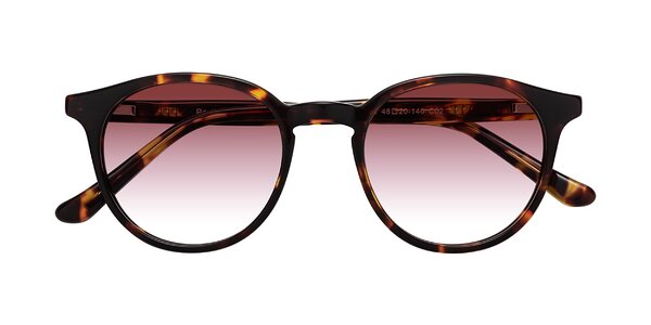 Front of Party in Tortoise