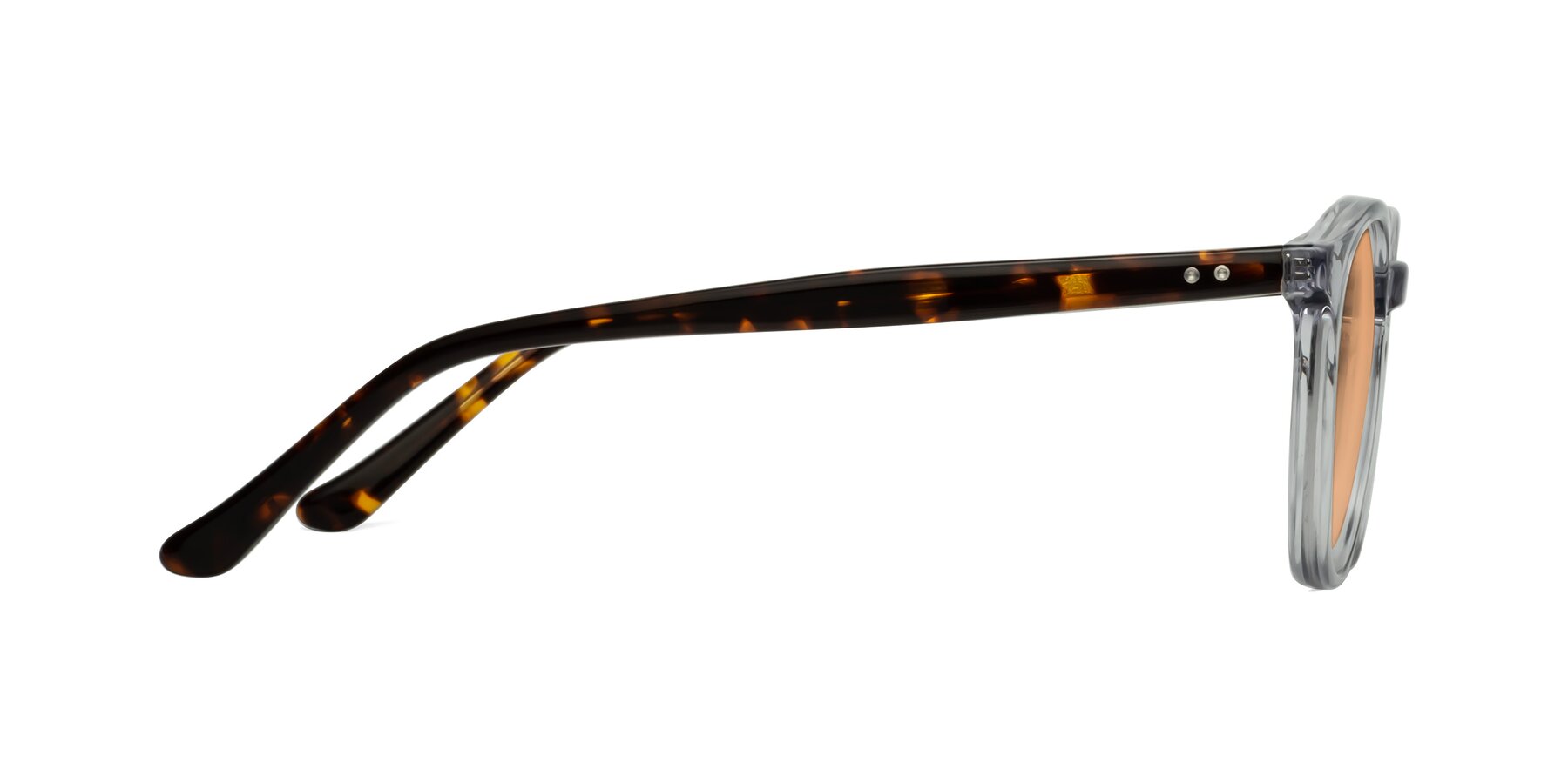Side of Party in Clear Gray-Tortoise with Light Orange Tinted Lenses