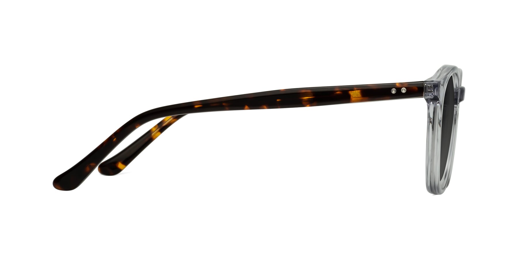 Side of Party in Clear Gray-Tortoise with Gray Tinted Lenses