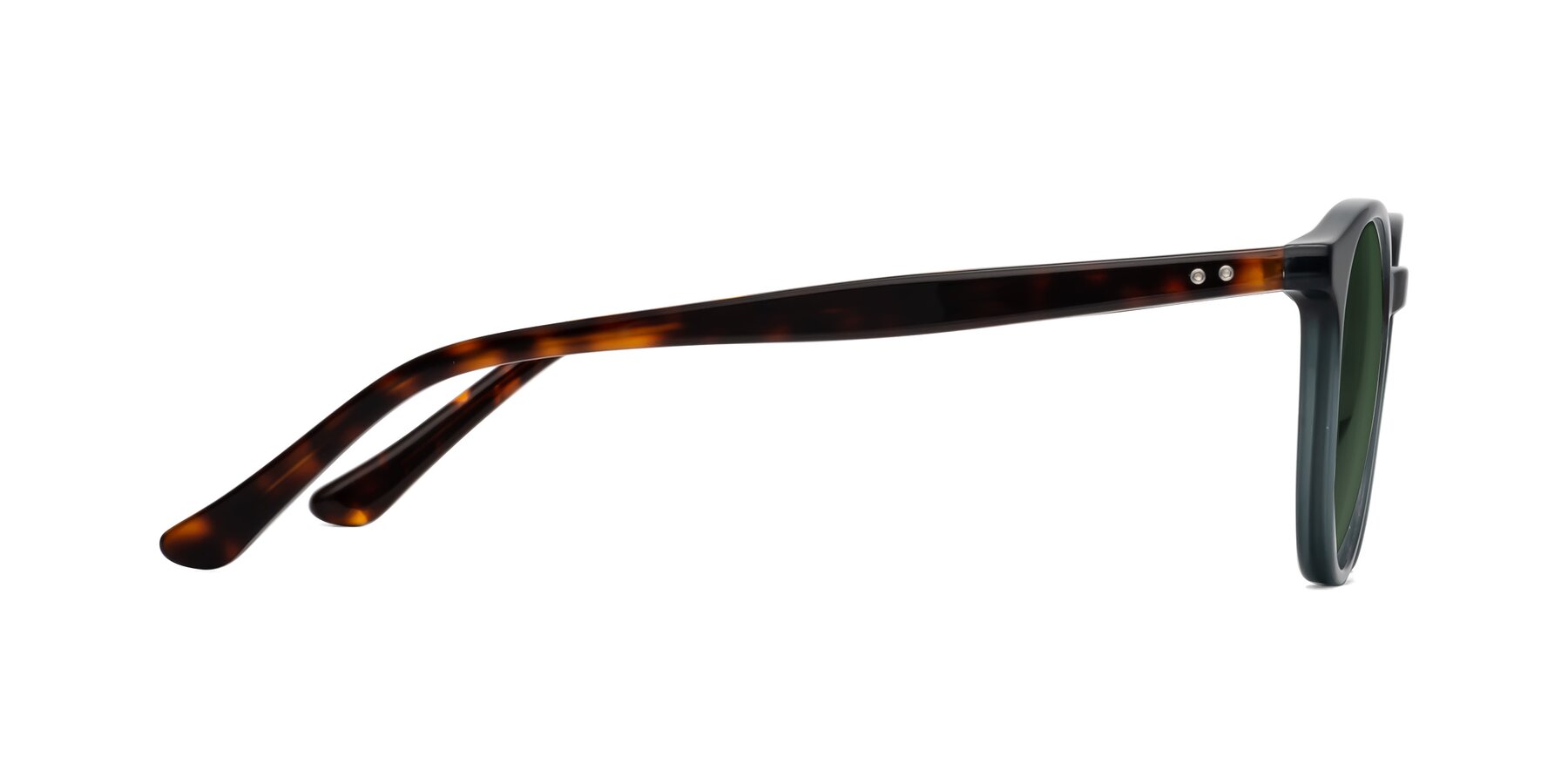 Side of Party in Abyss Blue/Tortoise with Green Tinted Lenses