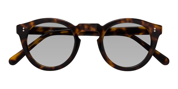Front of Annie in Tortoise