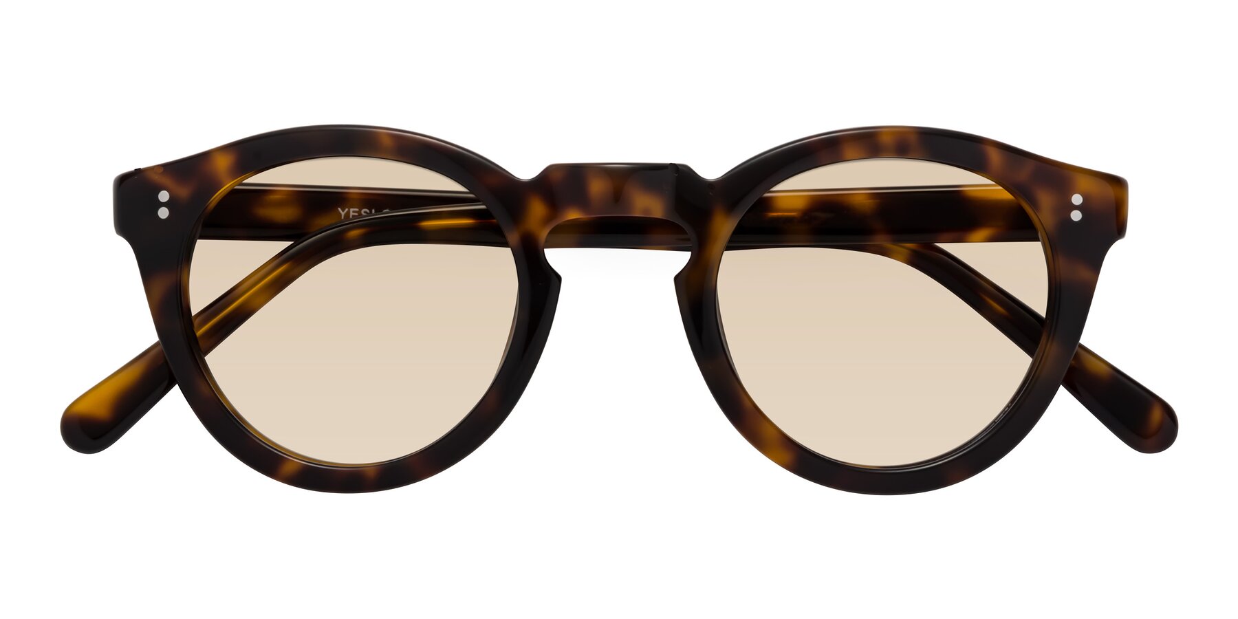 Folded Front of Annie in Tortoise with Light Brown Tinted Lenses