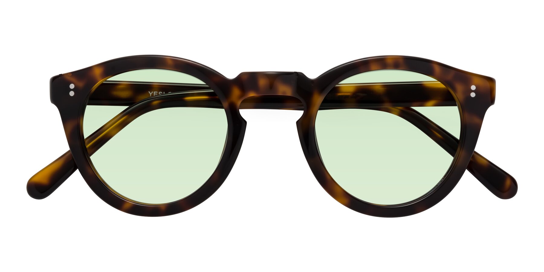 Folded Front of Annie in Tortoise with Light Green Tinted Lenses