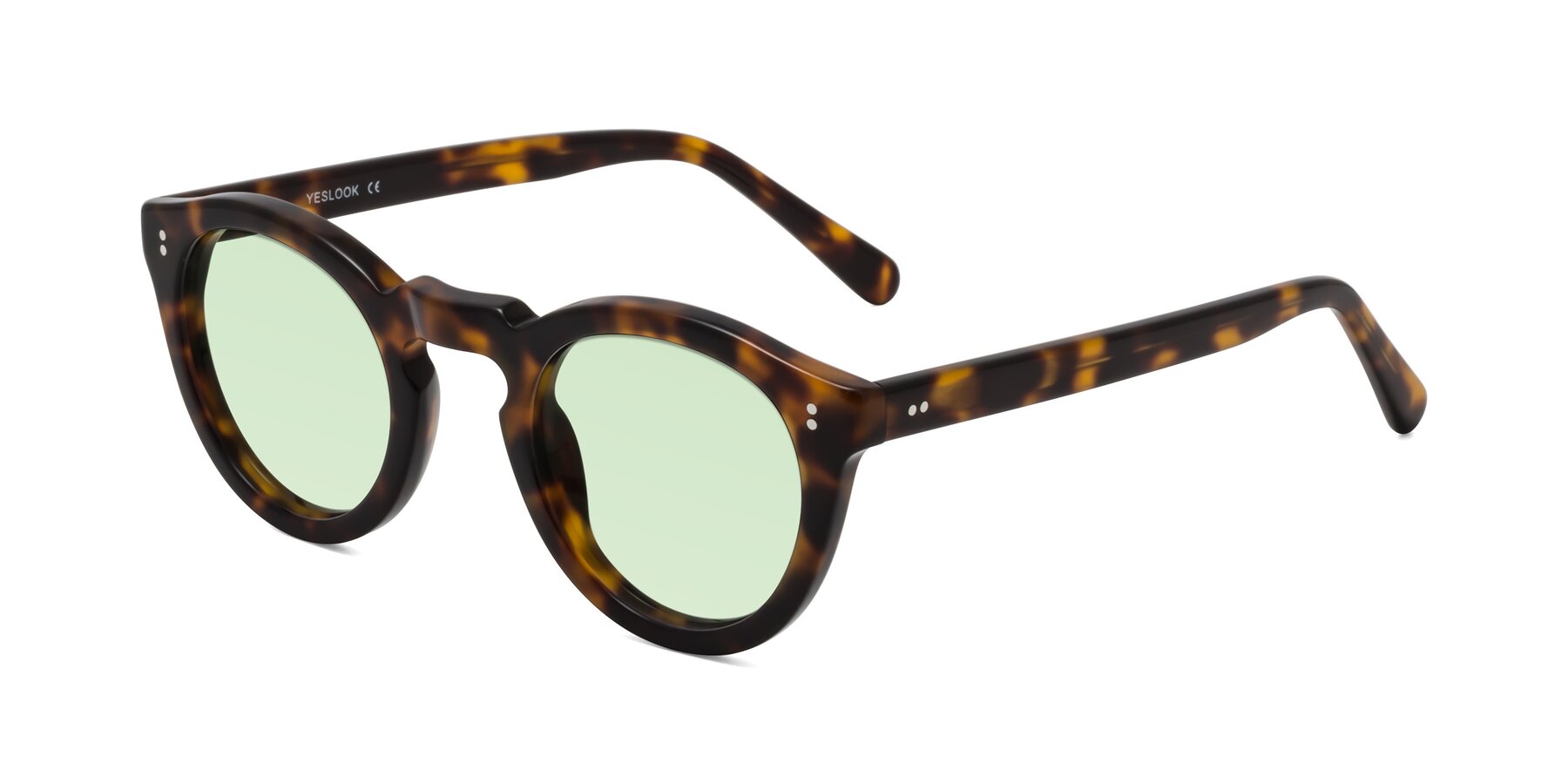 Angle of Annie in Tortoise with Light Green Tinted Lenses