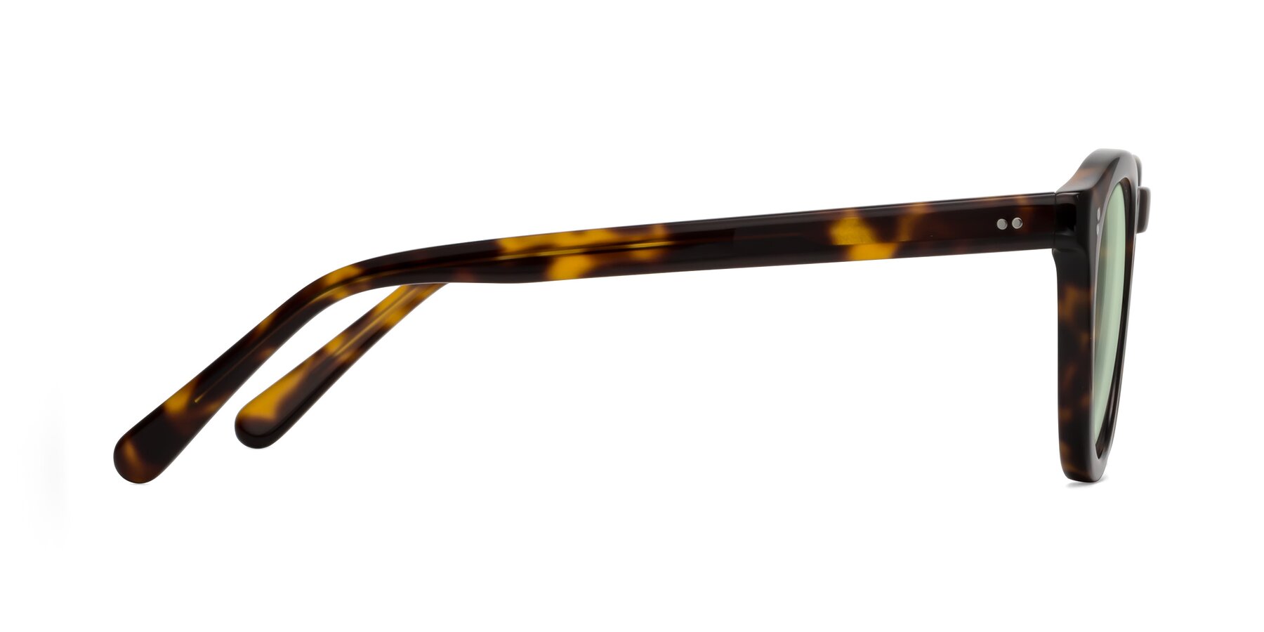 Side of Annie in Tortoise with Light Green Tinted Lenses