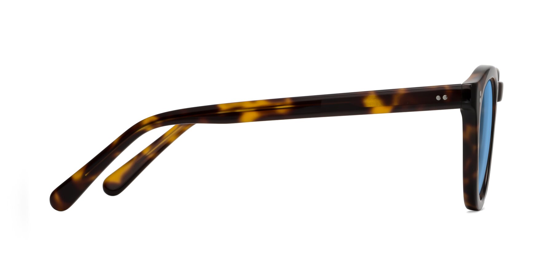 Side of Annie in Tortoise with Medium Blue Tinted Lenses