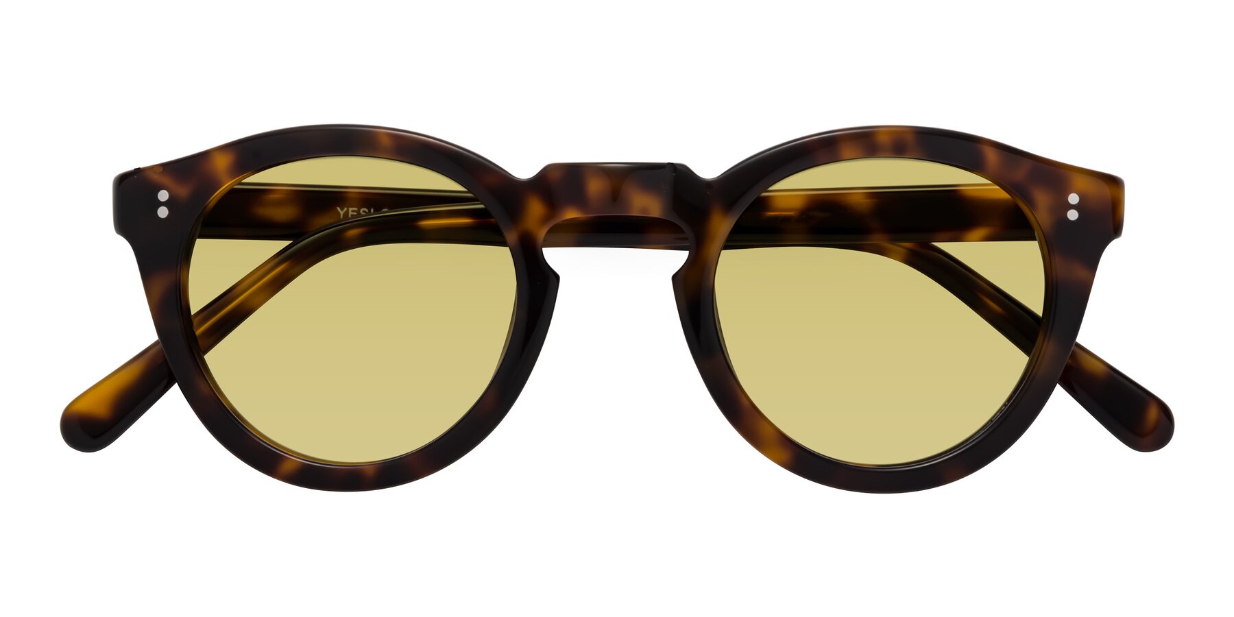 Folded Front of Annie in Tortoise with Medium Champagne Tinted Lenses