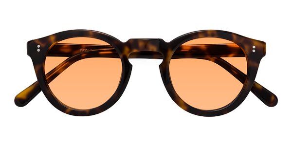 Front of Annie in Tortoise