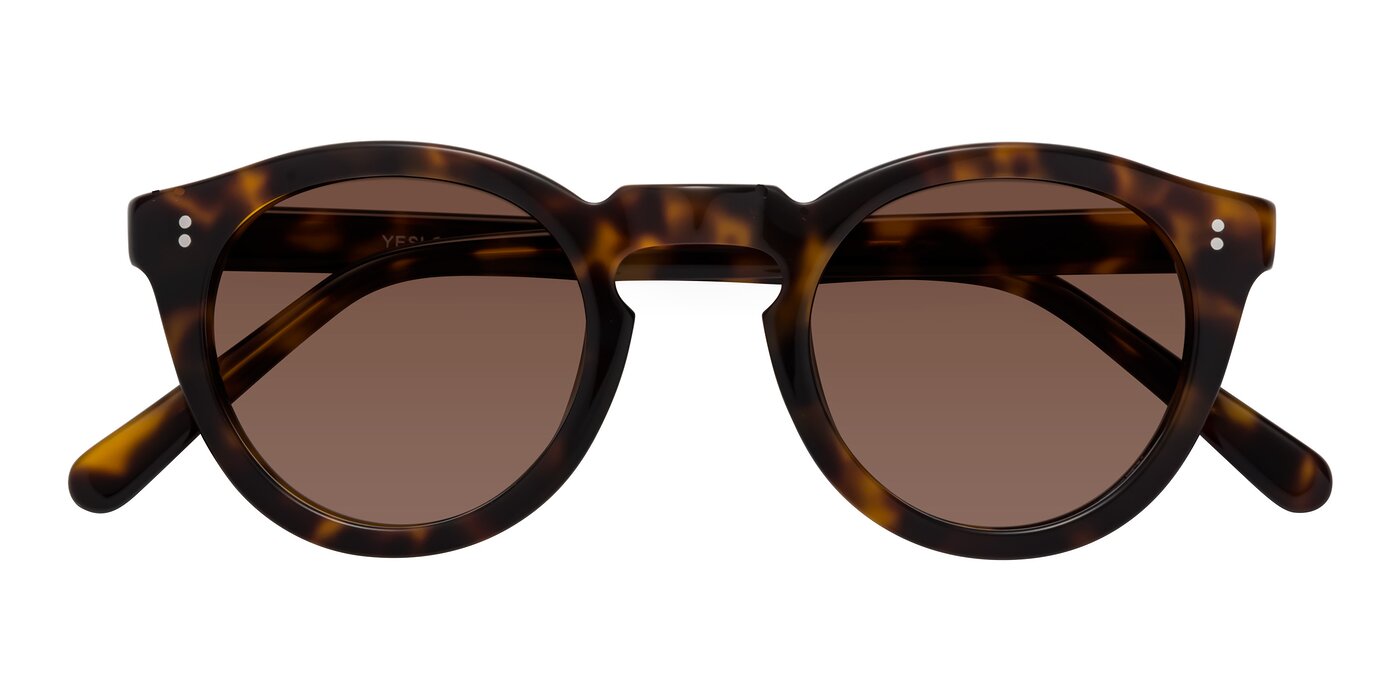 Annie - Tortoise Tinted Sunglasses