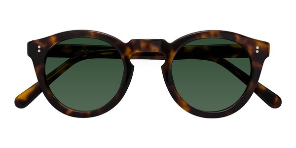 Front of Annie in Tortoise