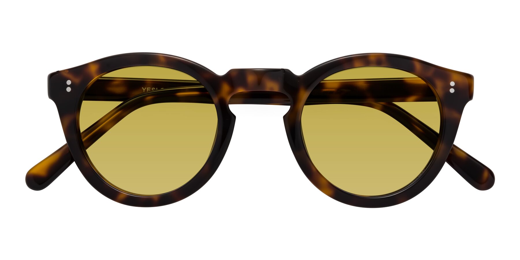 Folded Front of Annie in Tortoise with Champagne Tinted Lenses