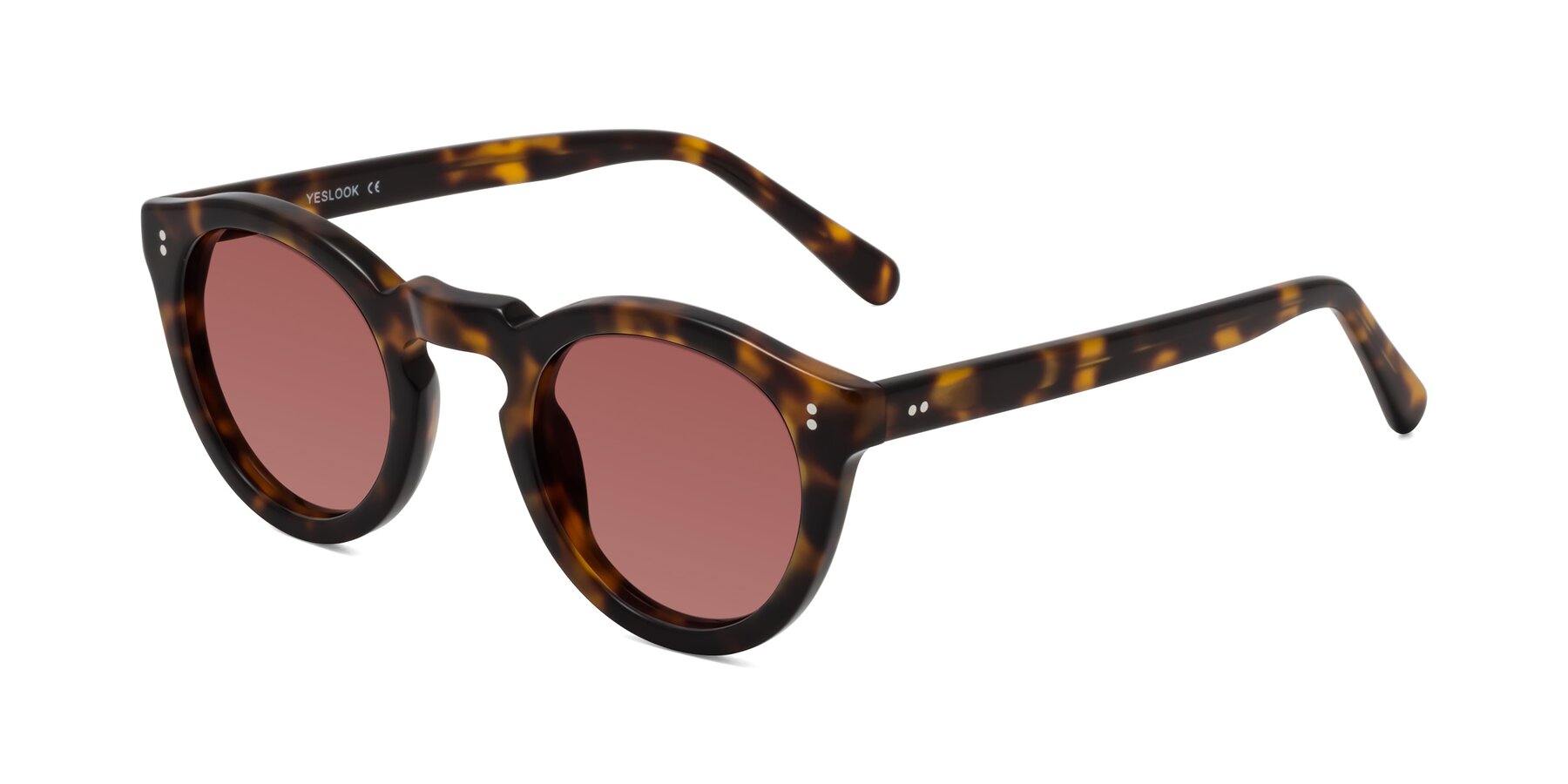 Angle of Annie in Tortoise with Garnet Tinted Lenses
