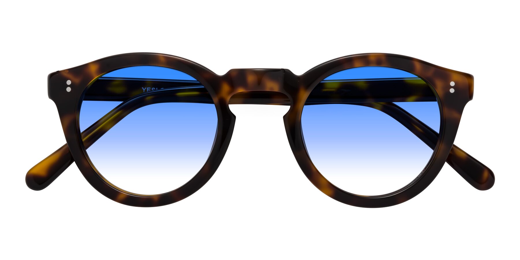 Folded Front of Annie in Tortoise with Blue Gradient Lenses