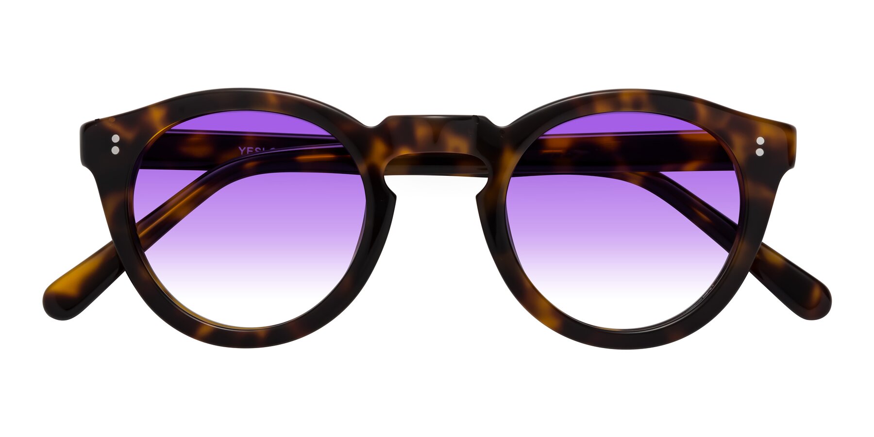 Folded Front of Annie in Tortoise with Purple Gradient Lenses