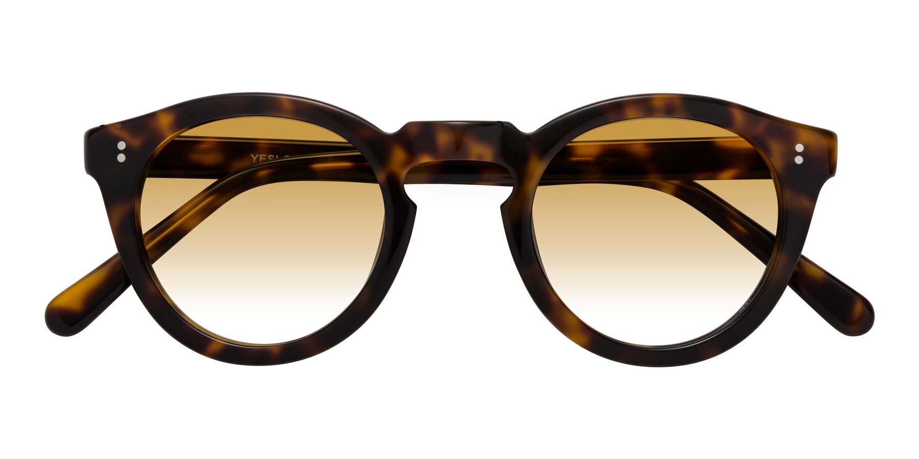 Folded Front of Annie in Tortoise with Champagne Gradient Lenses