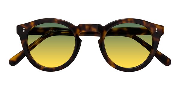 Front of Annie in Tortoise