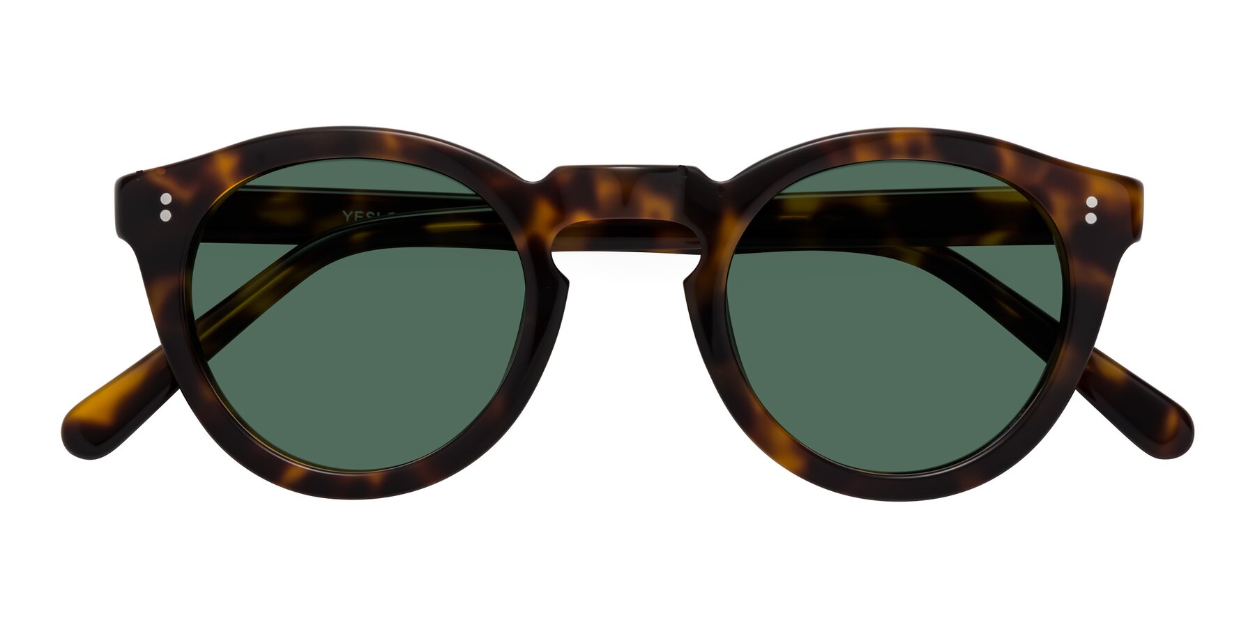 Folded Front of Annie in Tortoise with Green Polarized Lenses