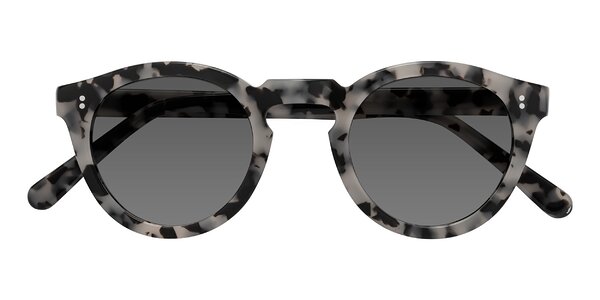 Front of Annie in Ivory Tortoise