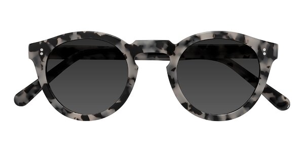 Front of Annie in Ivory Tortoise