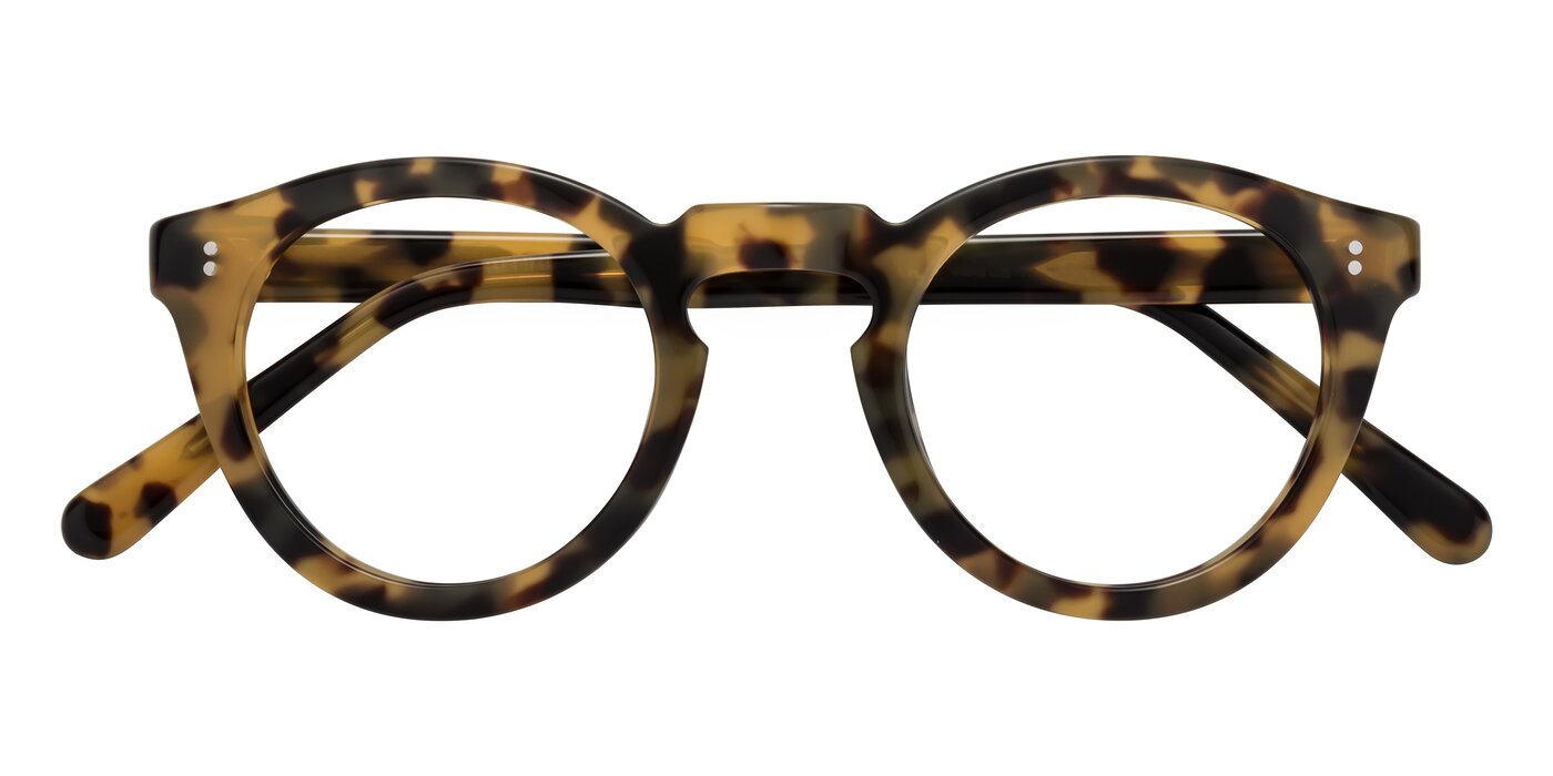 Annie - Golden Tortoise Eyeglasses