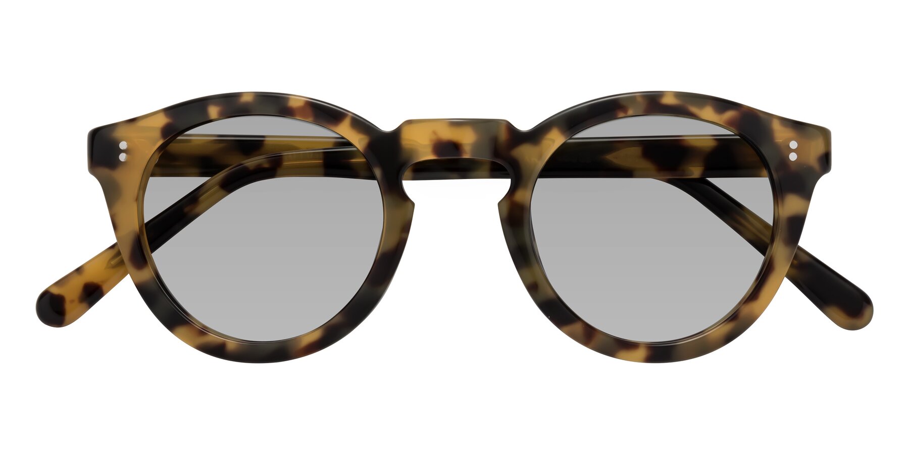 Folded Front of Annie in Golden Tortoise with Light Gray Tinted Lenses